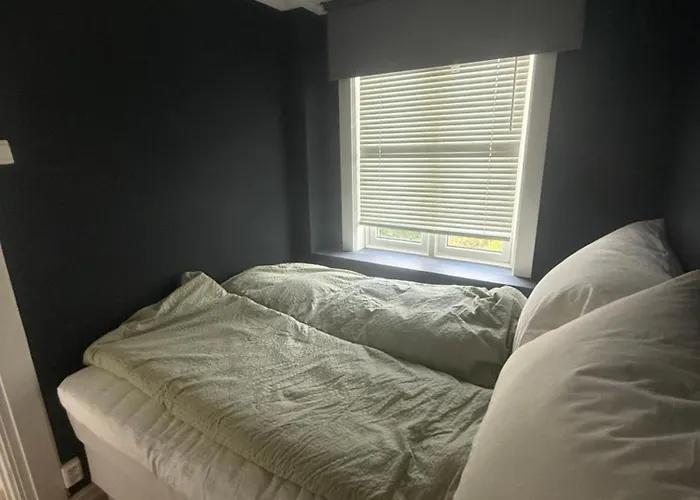 Apartman Bright And In Oslo
